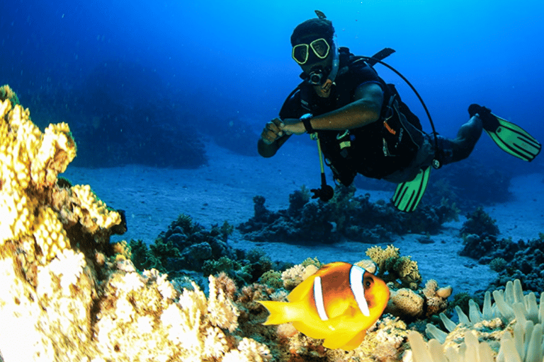 Sharm El-Sheikh: Beach Day & Intro Scuba Diving