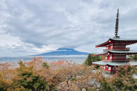 Tokyo: Mount Fuji and Hakone Private Flexible Tour Tour in a Leisure Vellfire