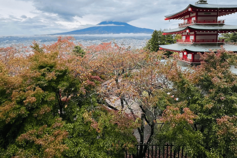 Tokyo: Mount Fuji and Hakone Private Flexible Tour Tour in a Prado