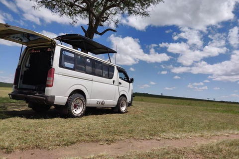 Nairobi: 2-Day Amboseli National Park Safari with …