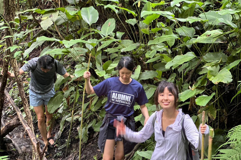 Chiang Mai: 2-Days Jungle Trek, Waterfalls and Karen Village