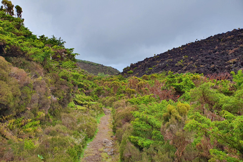 Terceira Insel Halbtageswanderweg: Mistérios Negros