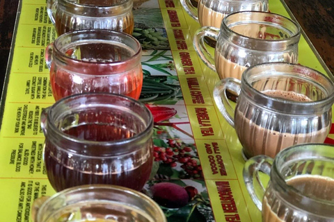 Ubud: Discover Hidden Waterfalls with Swing & Rice Terrace Private Tour with Entry Tickets