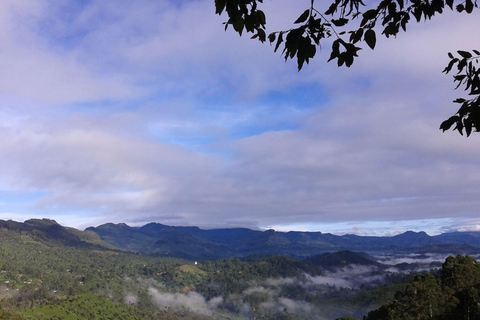 Lipton&#039;s Seat, Adisham Bungalow, excursão à fábrica de chá DambetennaDe Ella: Duas noites e três dias - Tour totalmente particular