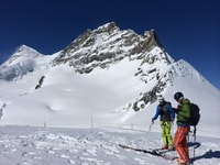 Journée privée de safari de ski avec transport - Housity