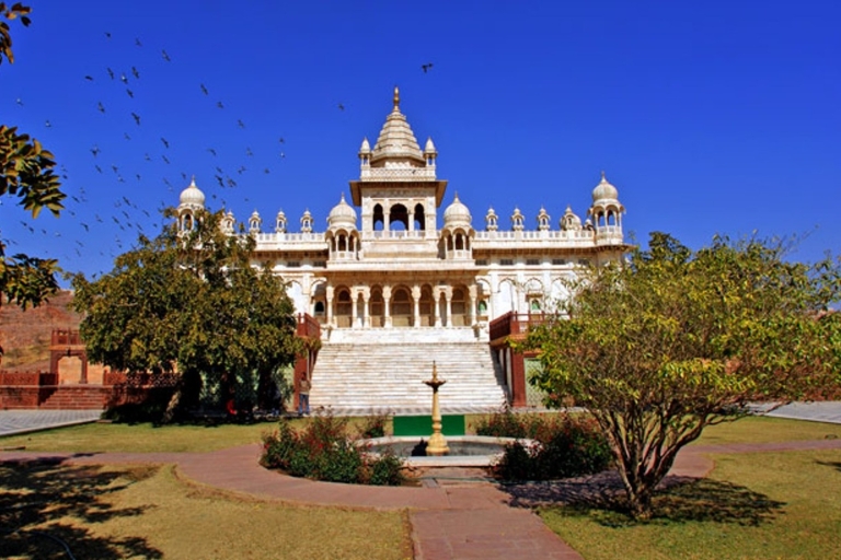 Prywatna całodniowa wycieczka po mieście Jodhpur i safari na wielbłądachWycieczka z kierowcą