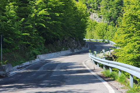 阿尔巴尼亚周边 10 天导游游（半食宿基地）