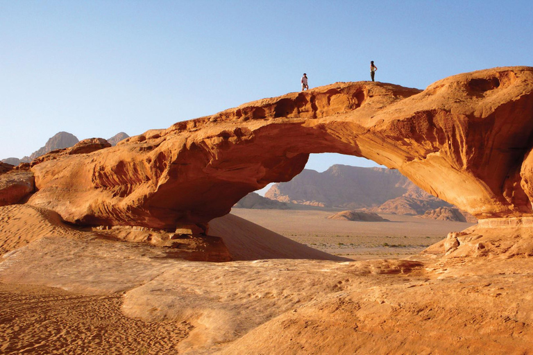 Von Petra: Besuch im Wadi Rum zurück nach Amman oder zum Flughafen Amman