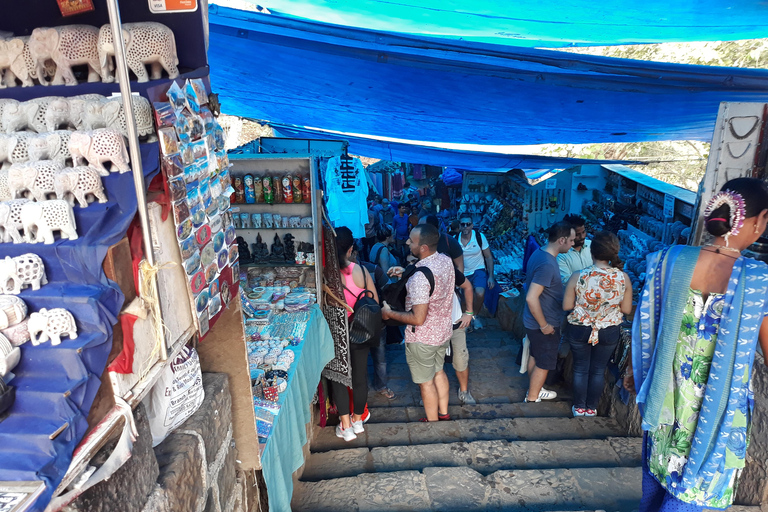 Visite d'une demi-journée guidée des grottes d'Elephanta