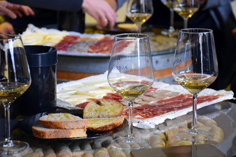 Tarragona: Wine Cathedral Tour Wine, Cava and Food Tasting