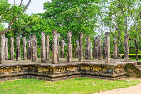 Kandy: Sigiriya Rock & Ancient Kingdom Polonnaruwa Day Trip