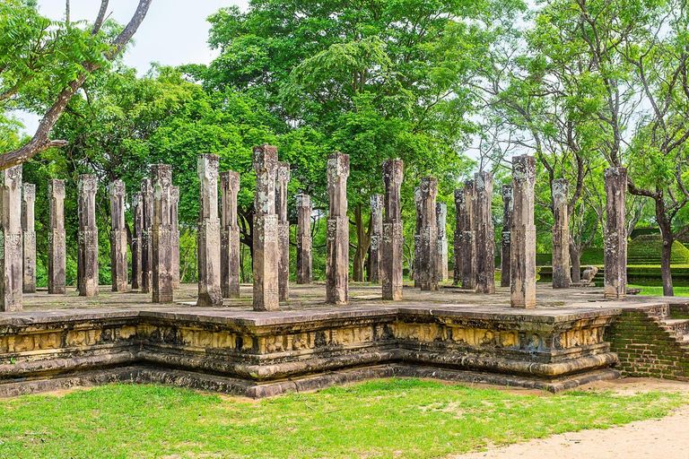 Kandy: Sigiriya Rock & Ancient Kingdom Polonnaruwa Day Trip