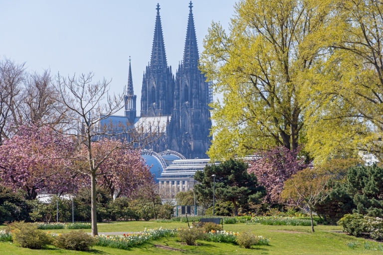 Cologne: City Highlights Segway Tour