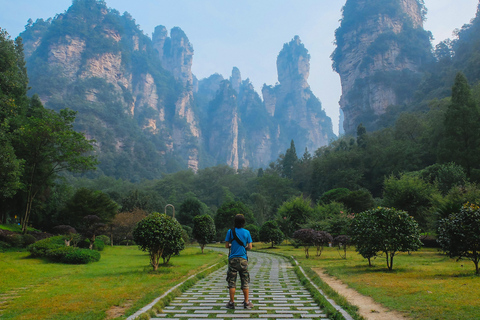 Zhangjiajie: Parque Florestal Nacional + Excursão de um dia à Montanha Tianzi