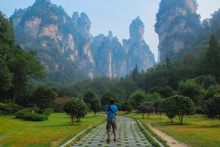 Zhangjiajie: National Forest Park+Tianzi Mountain Dagstur