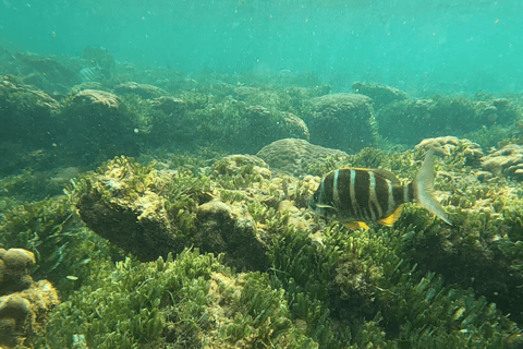 Boa Vista: Snorkeling w zatoce Gatas i wycieczka na północny wschód