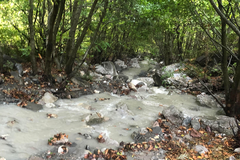 Tour di mezza giornata della funivia di Dajti e della cascata di Shengjergj