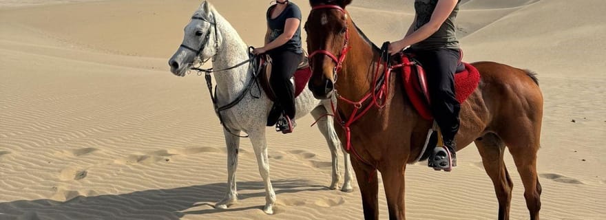 Aventure équestre dans le désert de Doha avec transferts