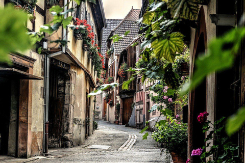 Colmar : Visite guidée privée à pied