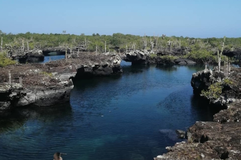 Full day Lava Tunnels Tour from Isabela Island