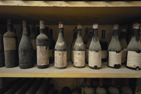 Milan: Barolo Vineyards & UNESCO Wine Cathedral Experience