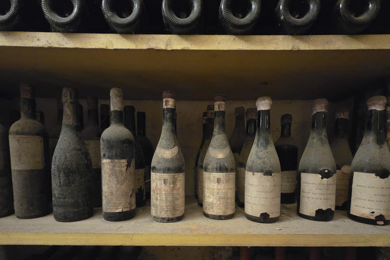 Milan: Barolo Vineyards & UNESCO Wine Cathedral Experience