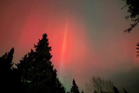 Banff Night Sky: Northern Lights and/or Stargazing Tour