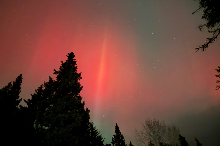 Banff Night Sky: Northern Lights and/or Stargazing Tour