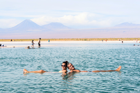 San Pedro de Atacama: Laguna Cejar Half-Day Guided Tour