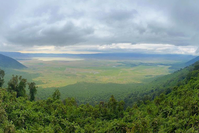 Viagem de 1 dia para a cratera de NgorongoroViagem de 1 dia à Cratera de Ngorongoro