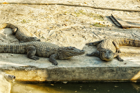 From Kathmandu/Pokhara: Bardiya National Park 4-Days Tour From Pokhara: Bardiya National Park 4-Days Tour