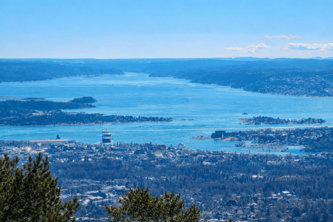 Oslo’s Hidden Gem:Hike with Panoramic Views, Waffles&Brunost