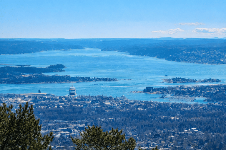 Oslo’s Hidden Gem:Hike with Panoramic Views, Waffles&Brunost