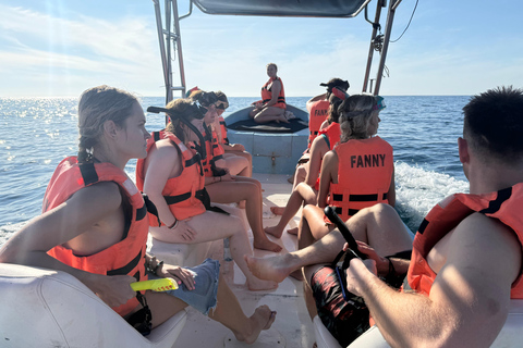 Puerto Escondido: Bootstour zu Delfinen und MeerestierenPrivate Tour