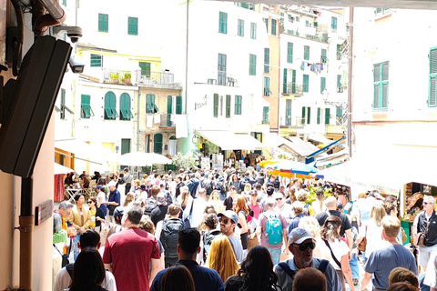 Florence to Cinque Terre e Pisa: Private Full-Day Tour