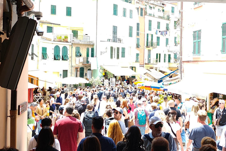 Florence to Cinque Terre e Pisa: Private Full-Day Tour