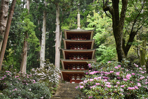 Osaka-Nara: 2-dniowy karnet Discovery PassTrasa północna: Tsutenkaku, HEP FIVE i nie tylko