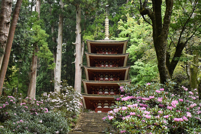 Osaka-Nara: 2-dniowy karnet Discovery PassTrasa północna: Tsutenkaku, HEP FIVE i nie tylko