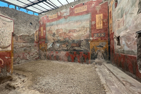 From Amalfi Coast: Pompeii Guided Tour From Amalfi Coast: Pompeii Guided Tour with Skip the Line