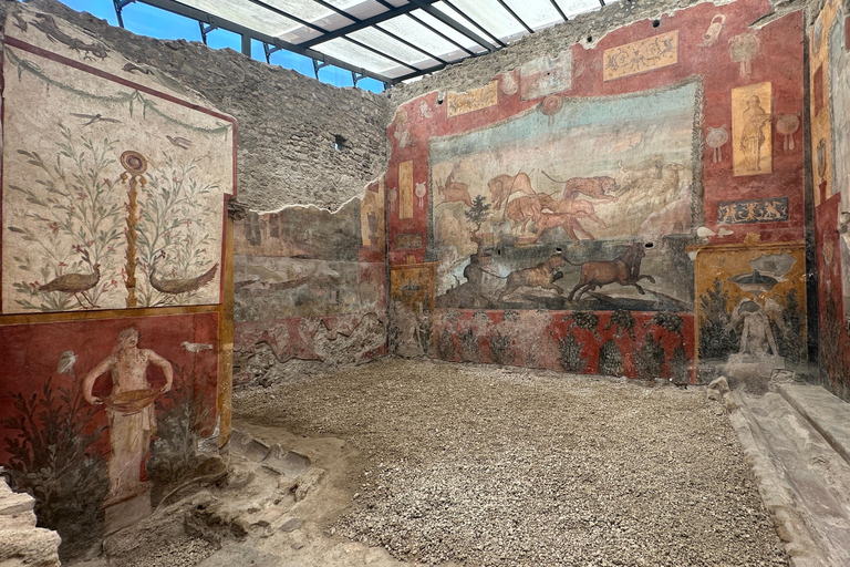 From Amalfi Coast: Pompeii Guided Tour From Amalfi Coast: Pompeii Guided Tour with Skip the Line