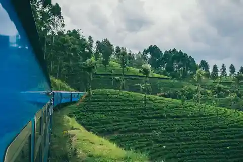 Kandy : Train de première classe à destination de Nuwara Eliya avec sièges réservés