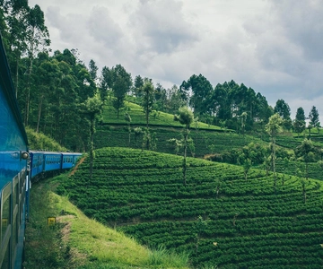 Kandy: First-Class Train to Nuwara Eliya with Reserved Seats