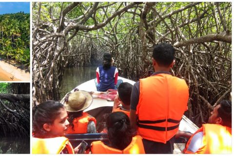 Bentota beach, River Mangroves lagoon, Wildlife Tour