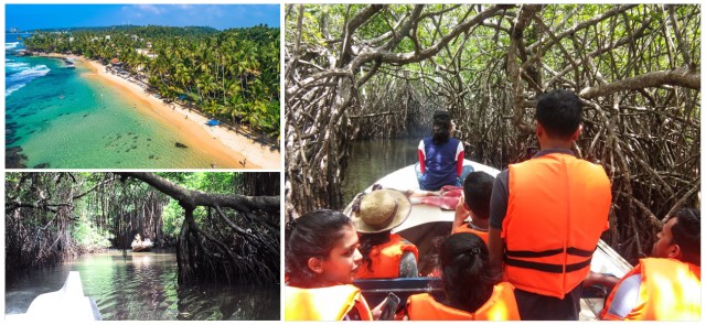 Visit Bentota beach, River Mangroves lagoon, Wildlife Tour in Balapitiya
