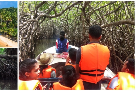 Colombo: visite de la plage de Bentota et des mangroves et de la faune