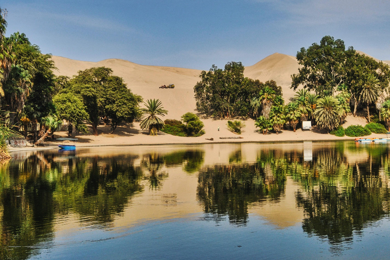 Desde El Cairo: El-Alamin, Oasis de Siwa y Safari por el Desierto OccidentalTour privado