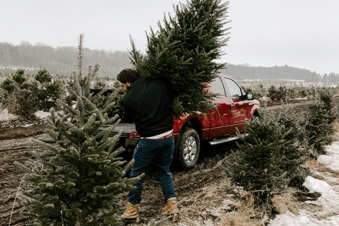 Las Vegas: l&#039;avventura di tagliare il tuo albero di NataleLas Vegas: diga di Hoover, città fantasma del West e cliff jumping