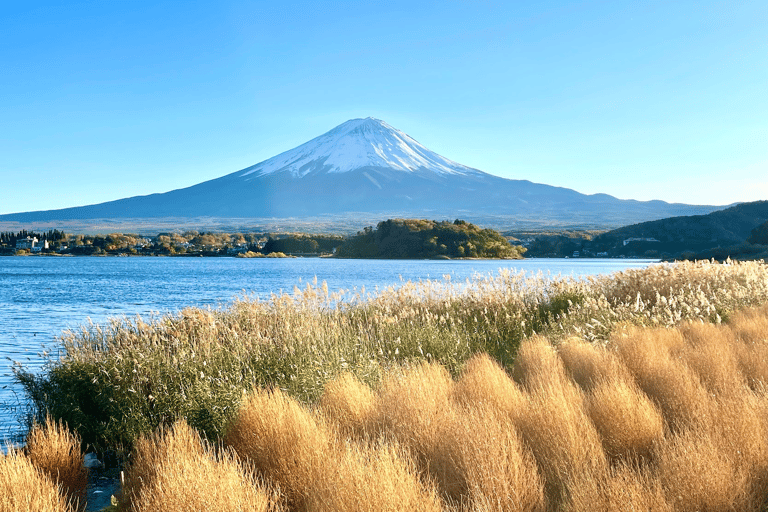 Tokyo: Monte Fuji, Pagoda Chureito, Lago Kawaguchi Tour in spagnolo