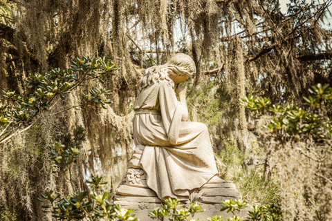 Savannah: tour del cimitero di Bonaventura