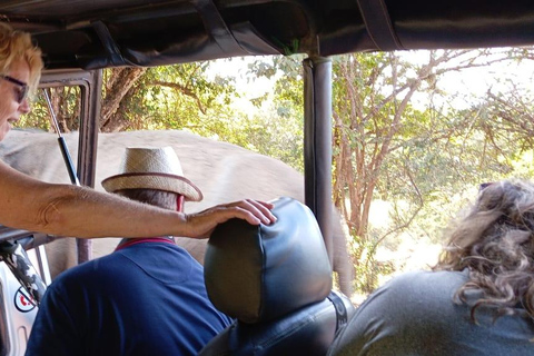 Von Kandy aus: Sigiriya Löwenfelsenfestung und Dorfausflug